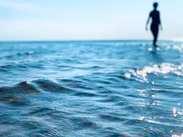 F6155AE2-D051-45BC-B9B3-CF19F7A5A410.webp