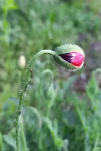 73909_Gallery.webp