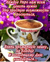 IMG-20220608-WA0008.webp