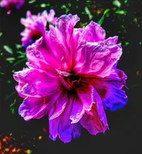 Screenshot_2022-07-05-09-11-37-945_com.miui.gallery-01.webp