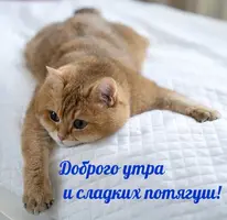 E769D7F4-4744-423B-AE0E-20981B189850.webp