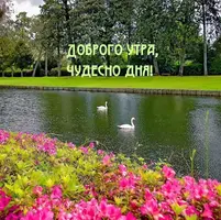 i.webp