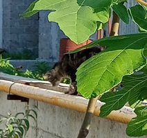 IMG_20220708_143024.webp
