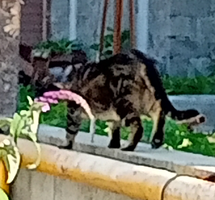 IMG_20220708_142824.webp