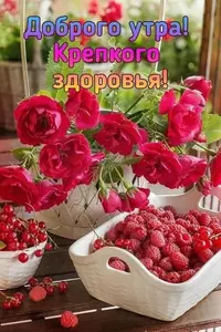 IMG-20220707-WA0004.webp