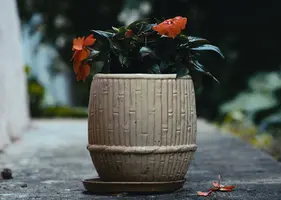 D769DF12-D675-4286-A2DD-D45933778376.webp