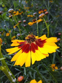 80400_Gallery.webp