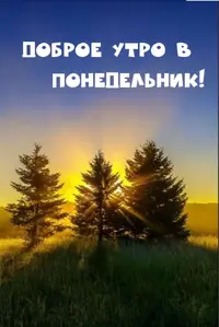 7966CC59-B516-4536-A658-DD6561ED94F6.webp