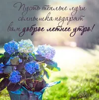 E5392ABE-2229-4CA4-9D4C-FBB38C89F12C.webp