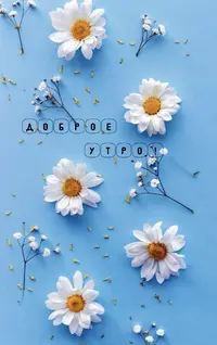 8c3b3f2dff1d780a151ad087d2c51188.webp