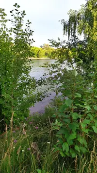 IMG_20220715_192338.webp