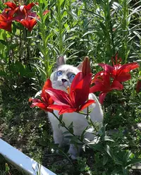 IMG_20220718_175634_646.webp