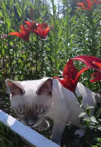 IMG_20220718_175639_348.webp