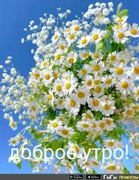 040b573f7edd22e74294a238607a7718.webp