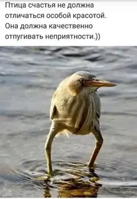 IMG-20220718-WA0003.webp