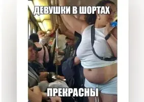 вшортах.webp