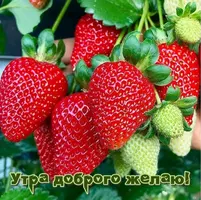 BE4D9FE2-453A-46F0-B075-D46C3883D827.webp