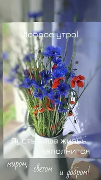 28ab55092899d141080eeae631936596.webp