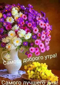IMG-20220721-WA0001.webp