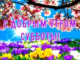 IMG-20220716-WA0003.webp