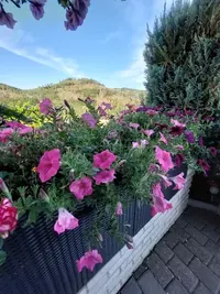 20220719_185750_copy_600x800.webp