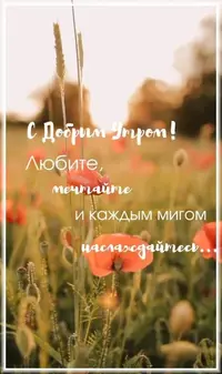 216cda929624f6b36c45dc49efdd2924.webp