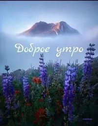 6416a756c496112659825de90063a3c9.webp
