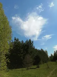 IMG_20220508_143321-min (1).webp