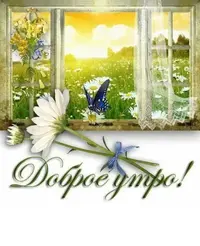 D692EC38-1D87-412D-818C-821FBE92E0C5.webp