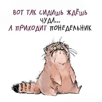 IMG-20220801-WA0001.webp