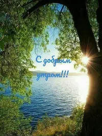 32b04caaeb4c14a26ea937e61c7b21c4.webp