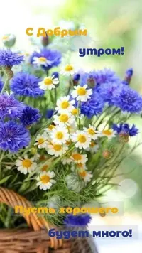 d5fbbc65489414a032ca3de980e362fb.webp