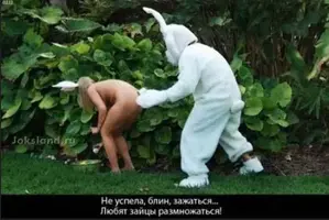 неуспелв.webp