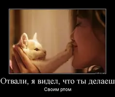 демотиватор.webp