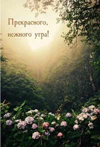 A6C12294-D39F-4B6A-8539-D59F6CE6D053.webp