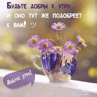 2308abccbfa8afbdde779b5f39865663.webp