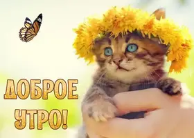 IMG-20220804-WA0009.webp