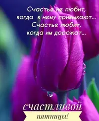 E18BBFA7-A493-46CF-89E4-B636DCF66CC8.webp