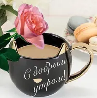 5AAF498A-D2A5-4EEA-8BBC-7D15D8A9F3FC.webp