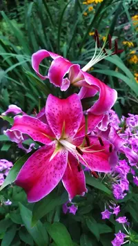 IMG_20220808_202427.webp