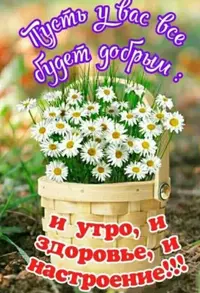 13012443-2483-4D73-9F14-37A902E4A8AC.webp