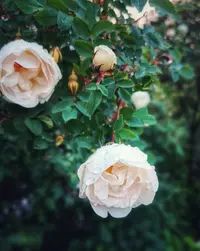 IMG_20220613_202052-02.webp