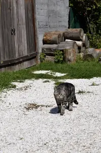 IMG_20220809_164743_215.webp