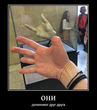 1660192311588.webp