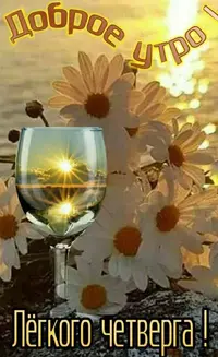 Screenshot_20220811-101051_Telegram.webp