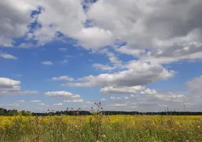 Screenshot_20220811-183334_Gallery.webp