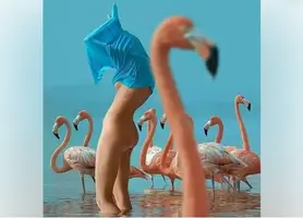 розовый.webp