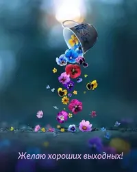 6C144362-2779-46C0-9884-B9D4A5529258.webp