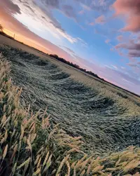 14540_Gallery.webp
