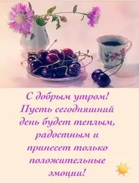 3fa854da6b863347e0b56e24eb9c42dc.webp